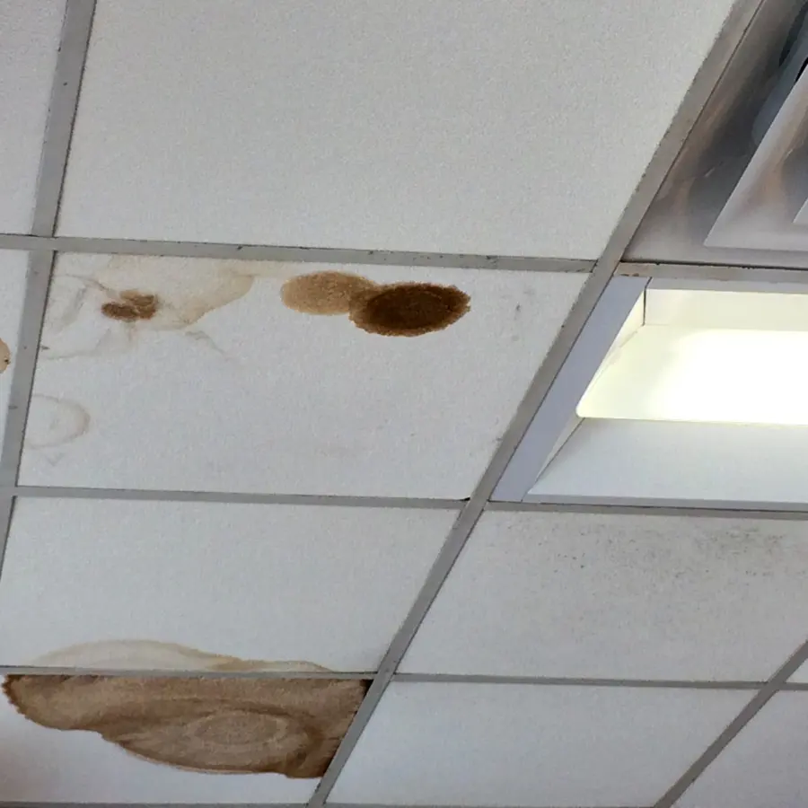 Roof and storm leak water damage through a Forney, TX ceiling