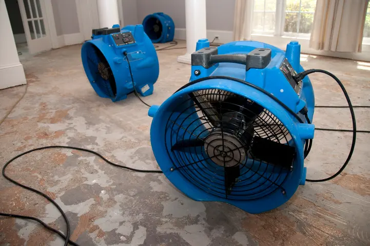 Air movers and dehumidifiers drying a Forney, TX room